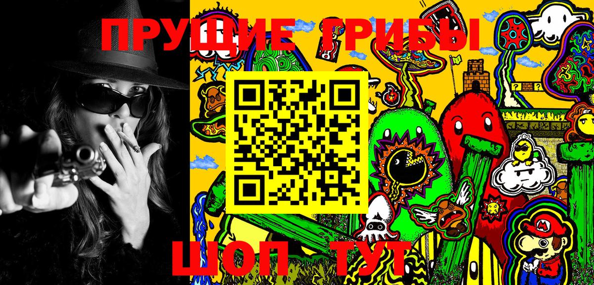 Псилоцибиновые грибы Psilocybe  Вход с VPN  где купить наркотик  Апшеронск  Псилоцибиновые грибы GOLDEN TEACHER 