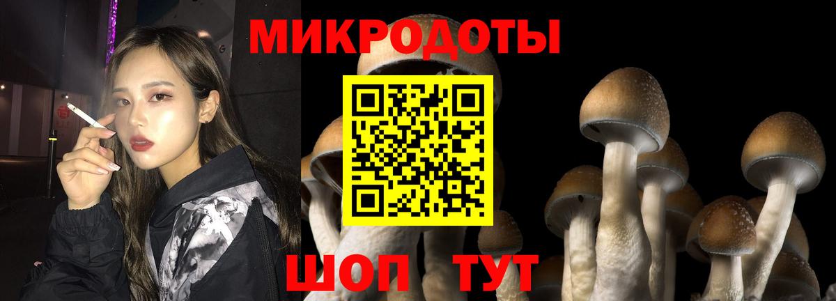 Галлюциногенные грибы прущие грибы Апшеронск